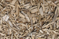 biomass boilers Carthamartha
